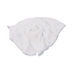Dish Cloths White/Blue X 10